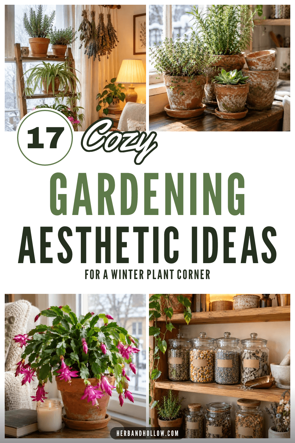 Pinterest pin with four photos of a cozy winter plant corner: herbs on a ladder shelf, vintage terracotta pots, a blooming Christmas cactus and jars of dried herbs, with the text 17 Cozy Gardening Aesthetic Ideas.