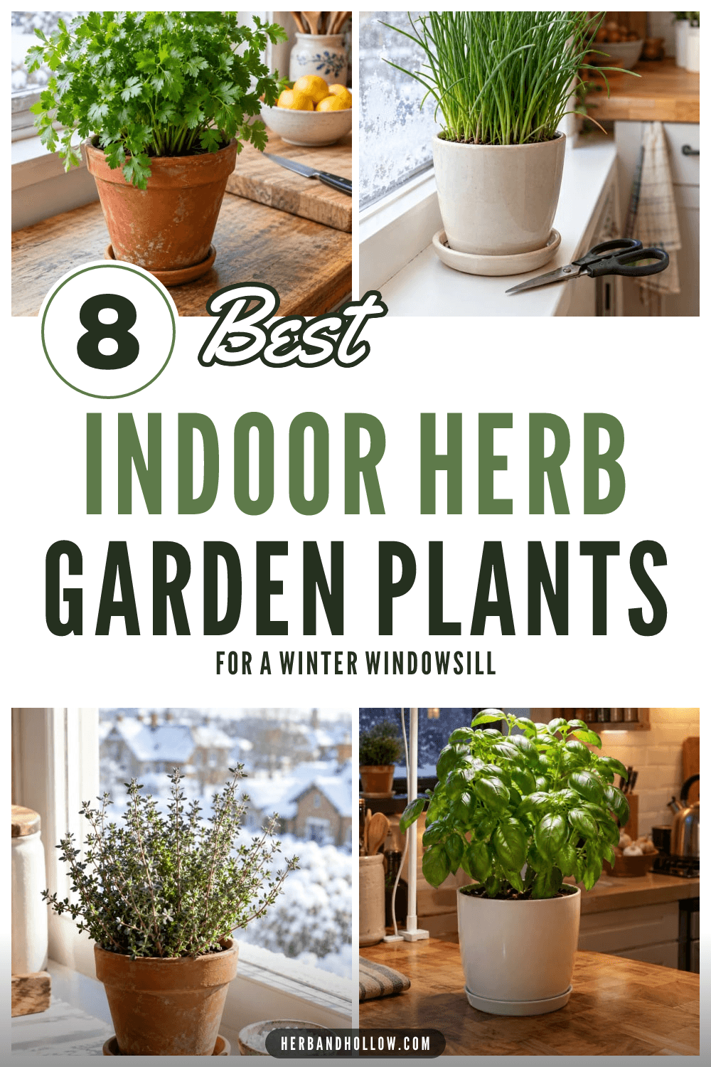Pinterest pin with four photos of potted parsley, chives, thyme and basil on sunny winter windowsills, with the text 8 Best Indoor Herb Garden Plants for a winter windowsill.